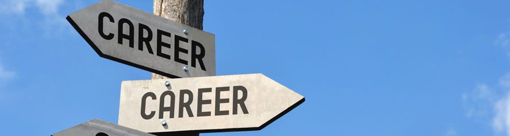 HR Career Paths You Can Pursue With a Certificate